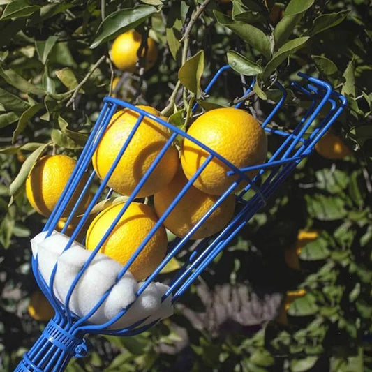 The Orchard Fruit Harvester Head